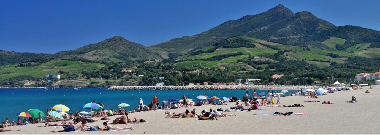 Maison Charmante A Argeles Sur Mer Pres De La Plage Avec Piscine Partagee Kültér fotó